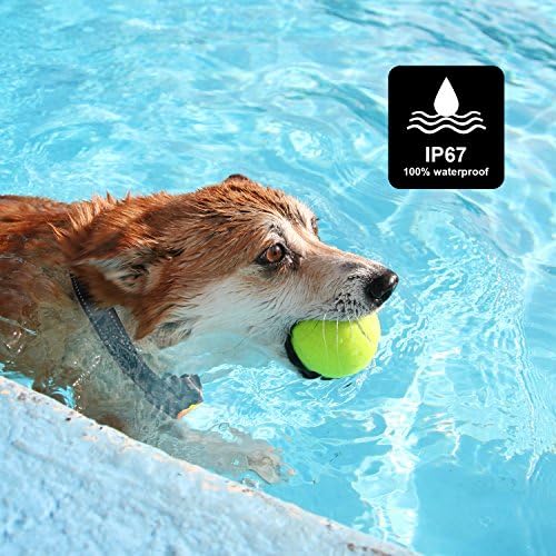 Bousnic Dog Training 2 Upgraded 1000ft Remote Rechargeable Waterproof Electric Collar with Beep Vibration Shock for Small Medium Large Dogs (15lbs - 1