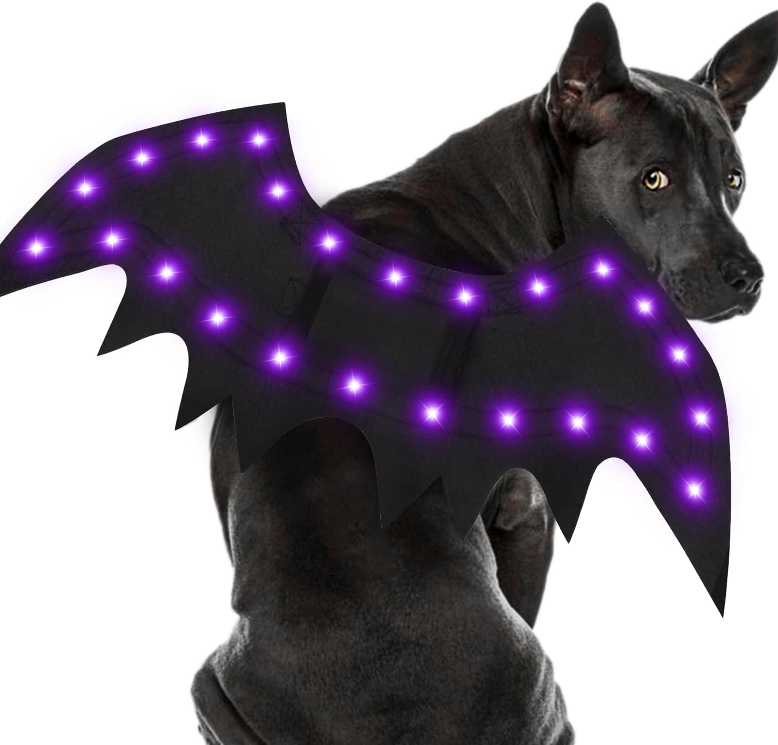 Malier Light Up Costume, 20 LED Dog Bat Wings Cosplay Costume with ple Lights Funny Halloween Clothes Thanksgiving Gifts for Dogs Puppy Cat