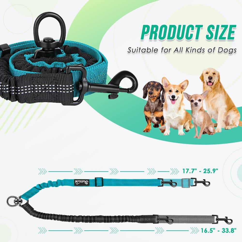 2025 New Large Explosion proof Charging Pet Automatic Scalable One to Two Dog Traction Rope High quality Wholesale Free Shipping