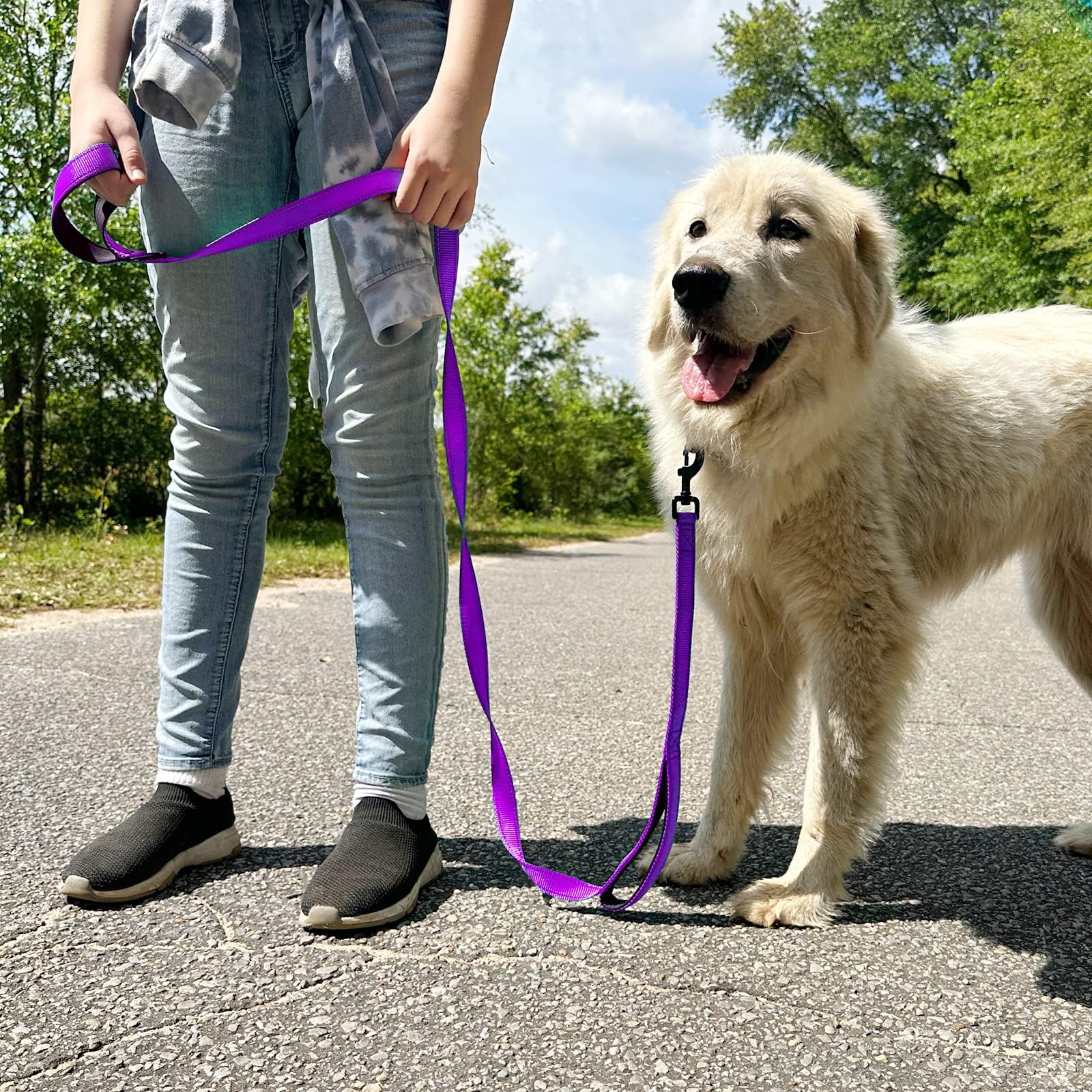 Joytale Heavy Duty Dogs That Pull, Double Handle Traffic Control, Double-Sided Reflective Night Safety, Dog Leash for Large Medium Dogs,FT, Orange