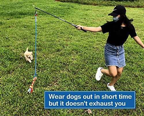 Interactive Flirt Pole Chase and Tug of War,Durable Teaser Wand with Pet Fleece Rope Tether Lure Toy to Outdoor Exercise & Training for Small Medium L