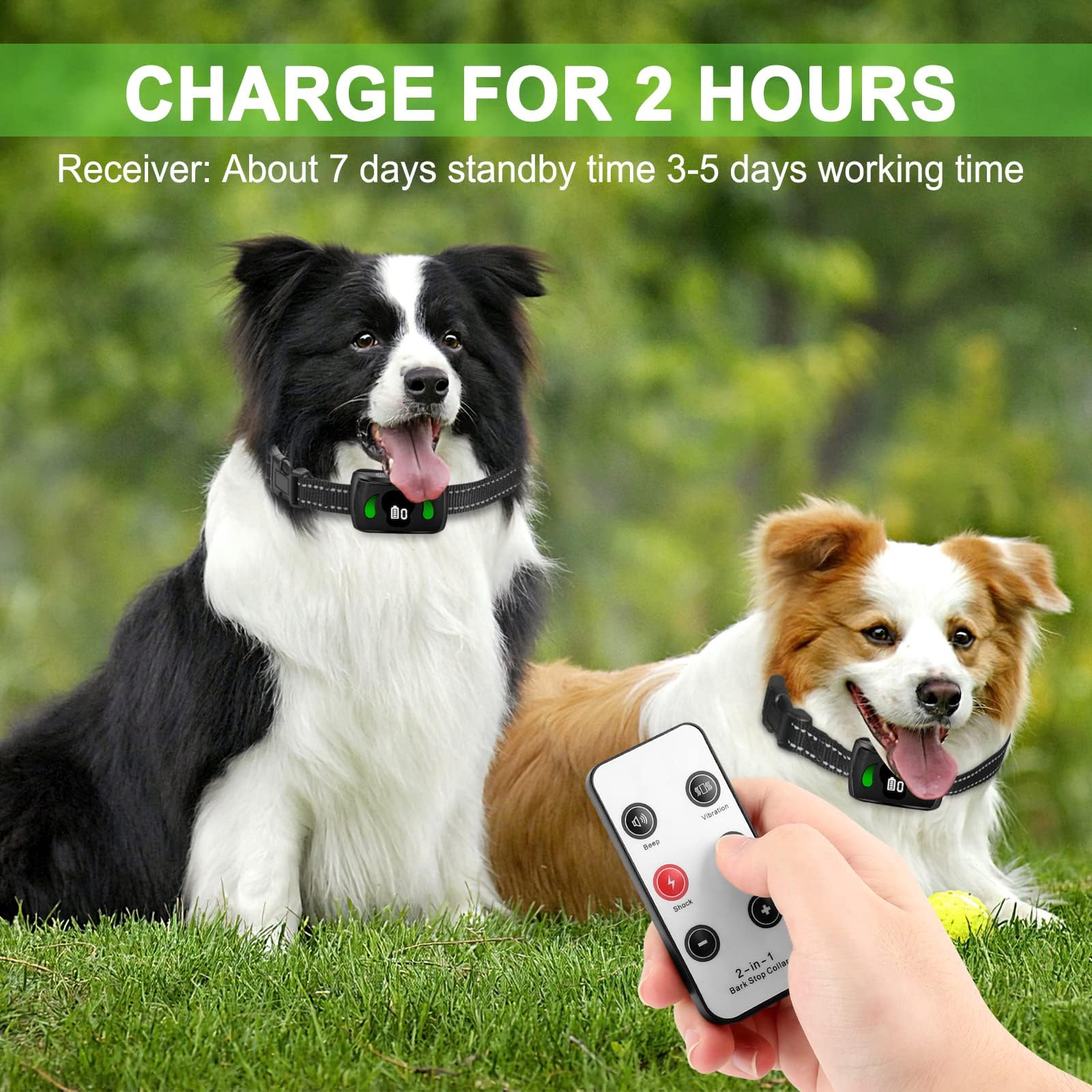 Mini Remote Large Dog Medium&Small Dogs, Anti Barking Training with 7 Adjustable Sensitivity - Safe No Bark Collar for Indoor, Garden & Courtyard Use