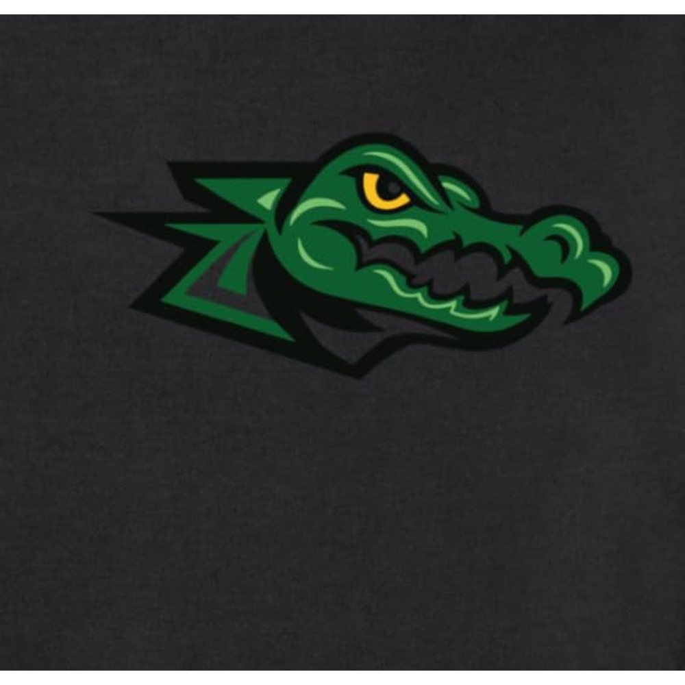 Long Sleeve Shirts for Men sweatshirt Crocodile Minimalist Design Sweatshirt Tee Streetwear Casual tops clothes Fashionable, cute, and warm