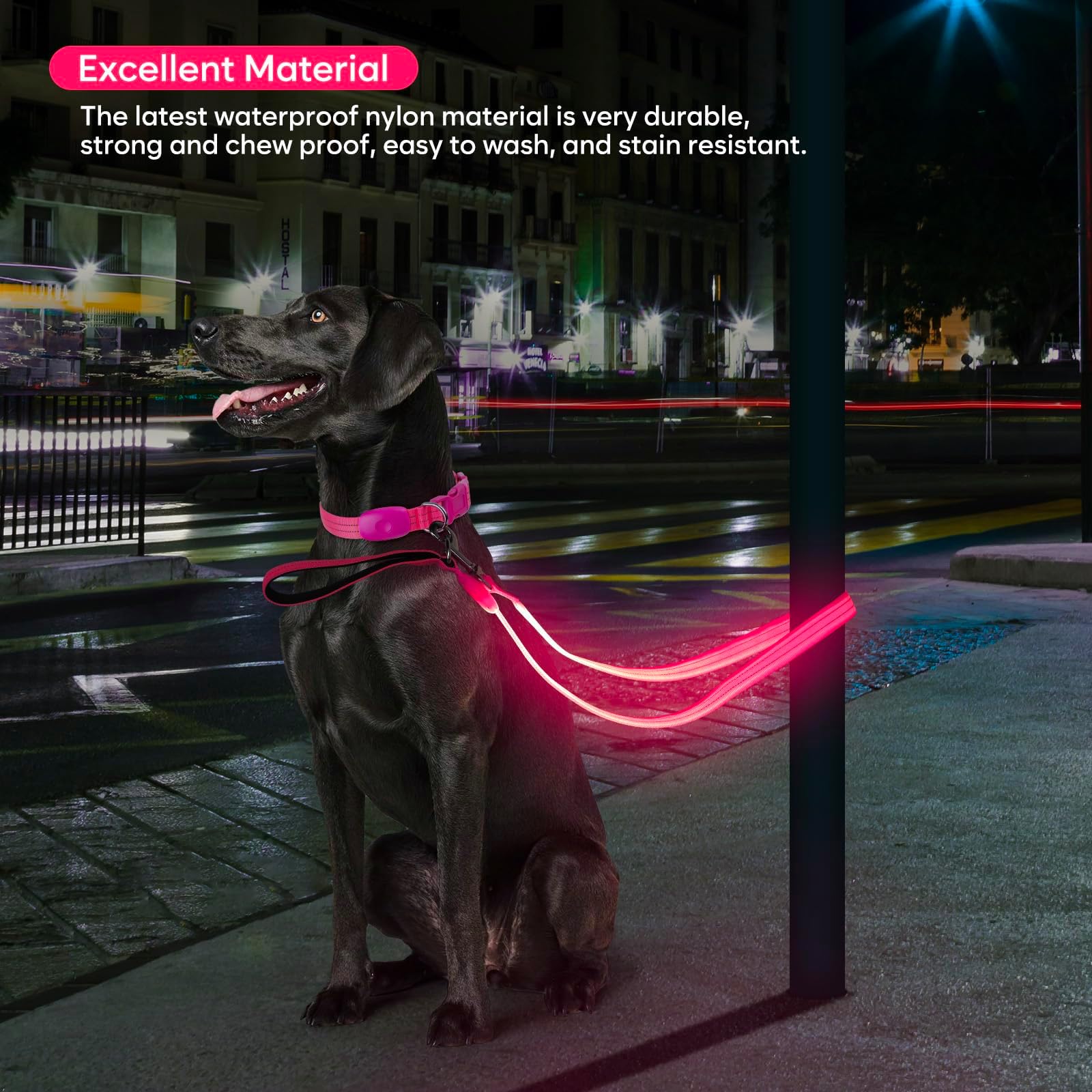 LED Leash, Light Up Dog Leash 4 Ft USB Rechargeable Waterproof, Nylon Reflective Leashes with Padded Handle Dogs Night Walking Light, Safety Glow in T