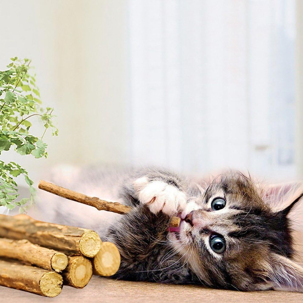 WoLover Matatabi Siervine Sticks - Cleaning Teeth Molar Tools Kitten Chew Natural Caip Cat Toy