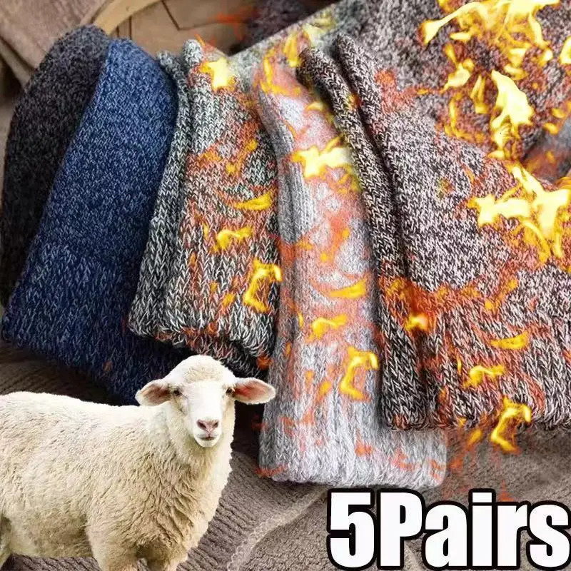 5 Pairs Winter Warm Mens Socks Wool Male Women Super Thicker Solid Merino Against Cold Snow Terry 241112