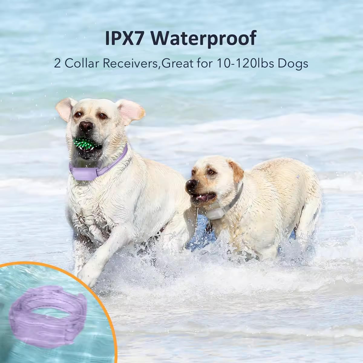 PATPET Shock Dogs(10-120lbs), 4000ft Rechargeable IPX7 Waterproof Training with Remote Dogs- Electric Dog Collar for Small Medium Large Dogs 2 Packs