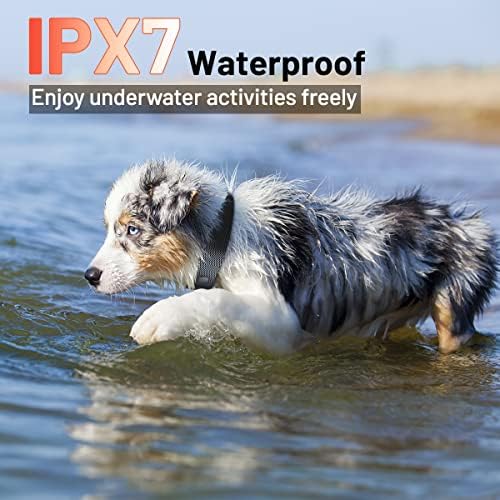 Dog Training with Remote 3300ft Range Waterproof Rechargeable Electric Collar for Small Medium Large Dogs