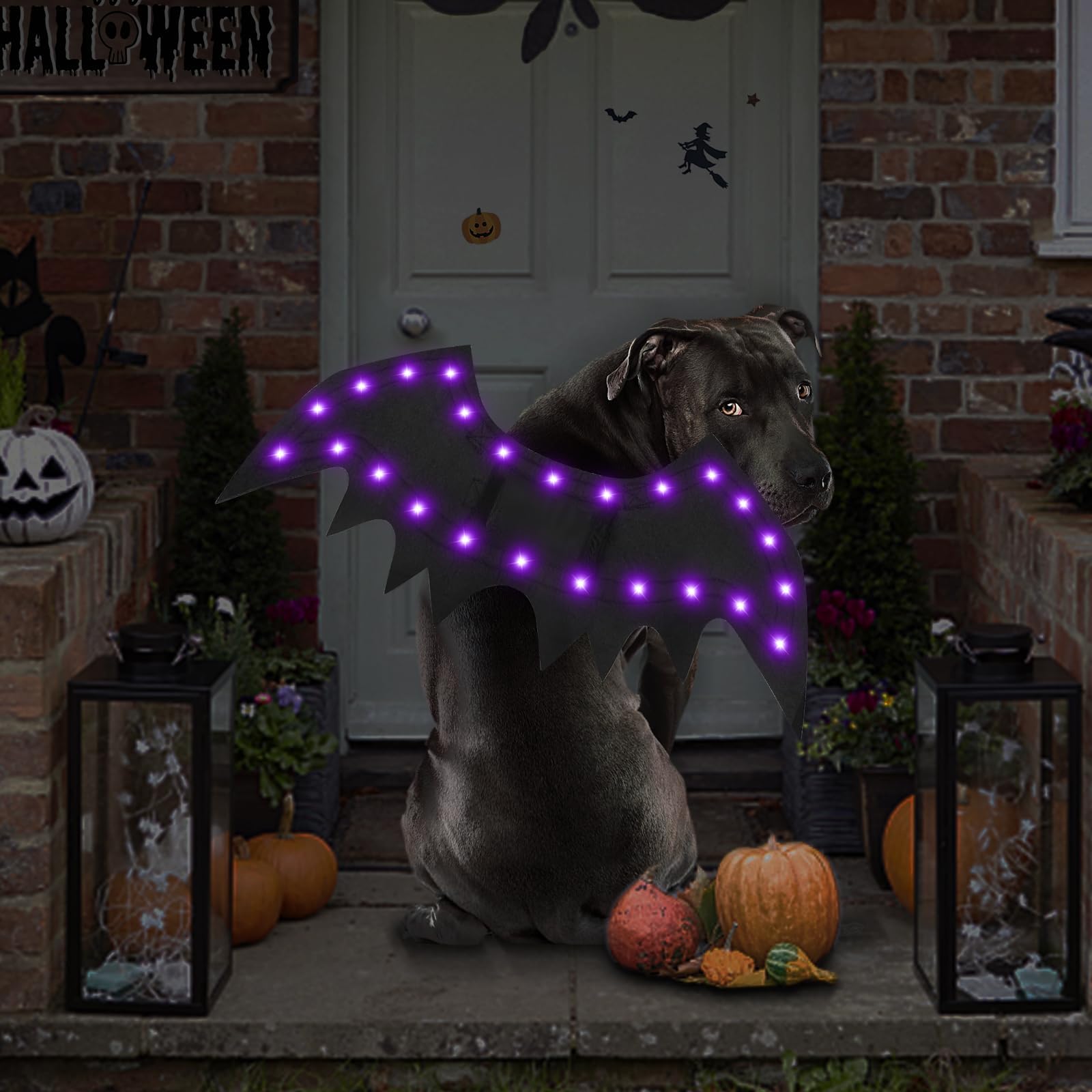 Malier Light Up Costume, 20 LED Dog Bat Wings Cosplay Costume with ple Lights Funny Halloween Clothes Thanksgiving Gifts for Dogs Puppy Cat