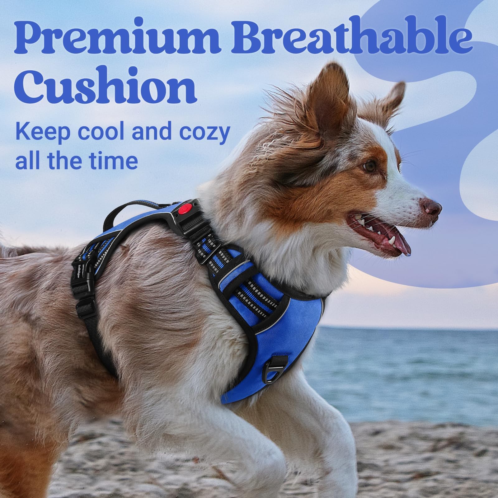 rabbitgoo Dog Sized, No Pull Pet Soft Padded Handle, Adjustable Reflective Vest 3 Buckles, Easy Walking Harness with 2 Leash Clips,, M