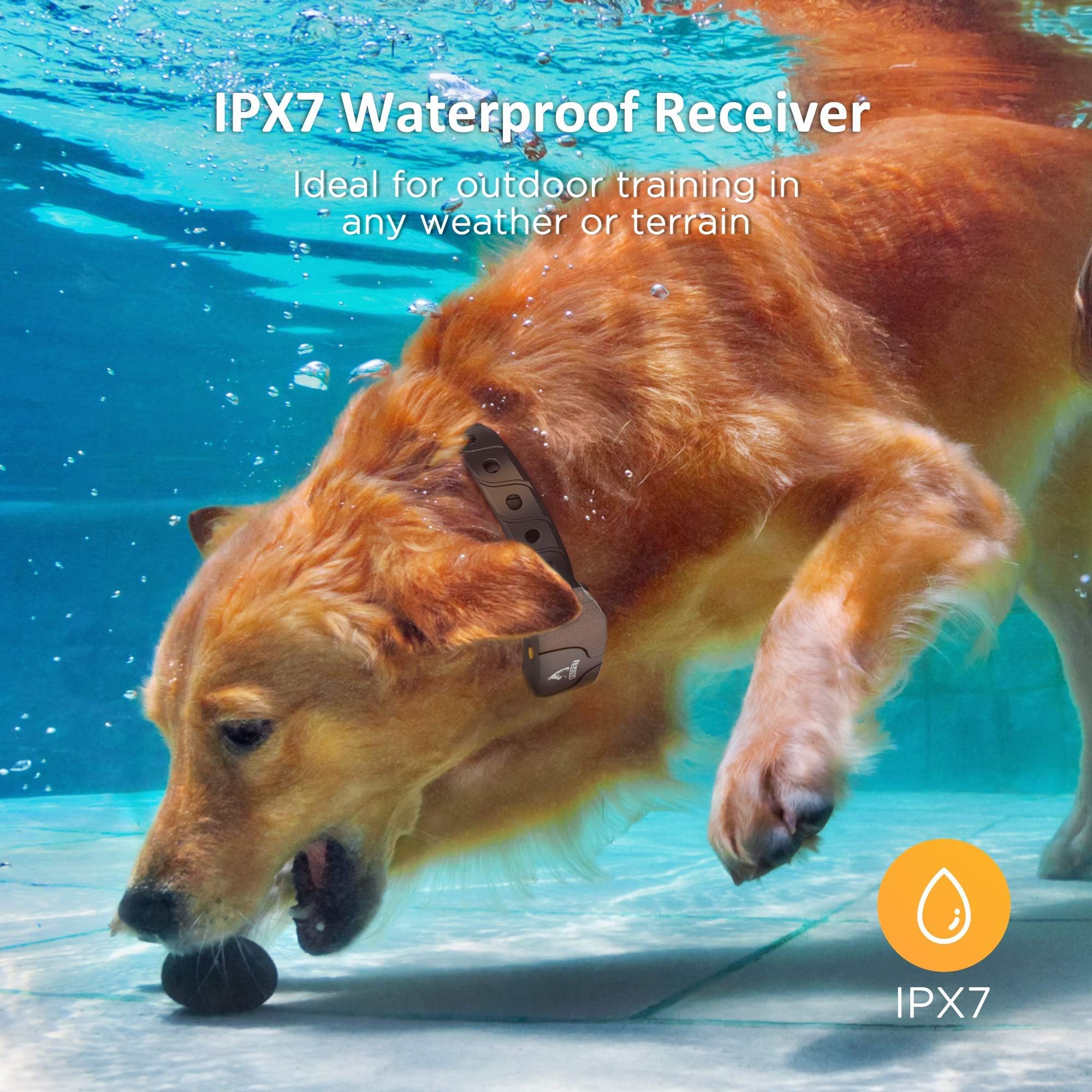 PATPET Dog Large - IPX7 Waterproof E Collar for Dogs Training with Beep, Vibration and Static Modes