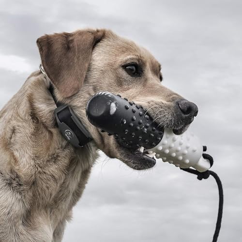 SportDOG FieldTrainer 425X/SportHunter 825 Add-A-Dog Remote Training Collar, Hunting Dog Collar - Waterproof Rechargeable with Tone, Vibration, and Sh