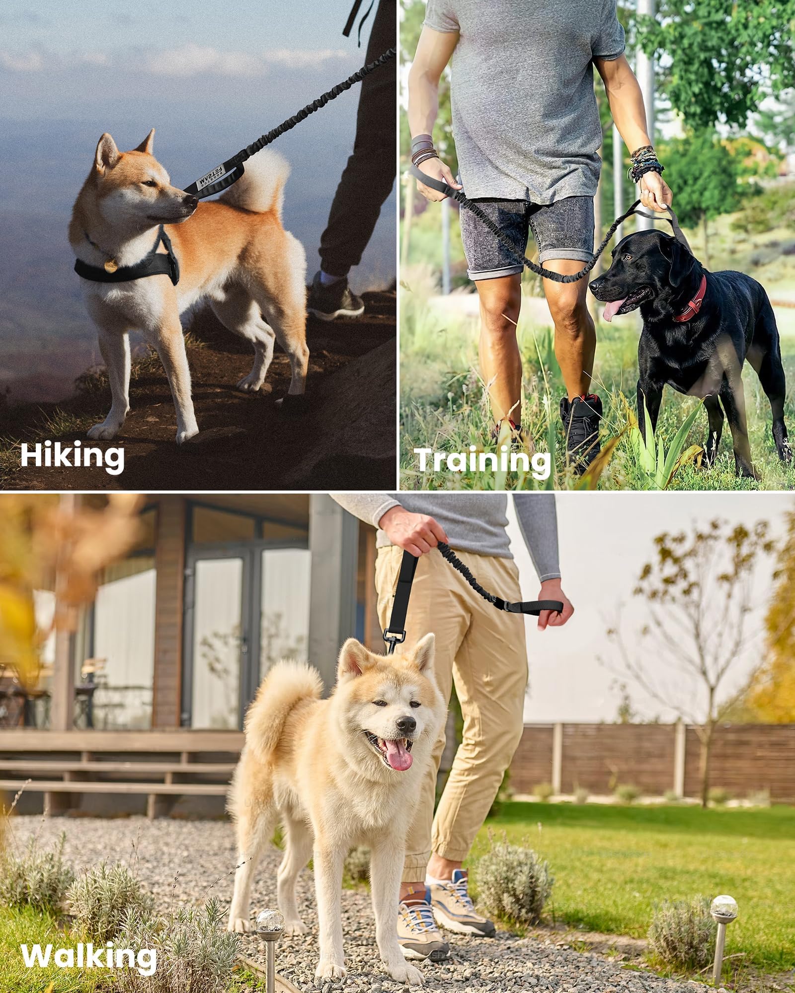 OutdoorMaster Bungee Heavy Duty Leash with Shock Absorption, 2 Padded Handles Training Leash, Improved Dog Safety and Comfort (, 4FT