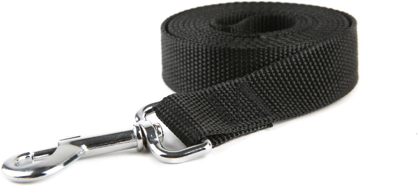 Nylon Dog Training Leash, Traction Rope, 4Ft /5 Foot /6 Feet Long, 5/8 inch 3/4 1 Inch Wide, for Small and Medium Dogs (Orange, 1'' x 20 FT