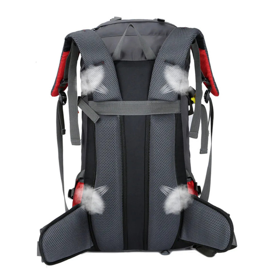 60L Man Woman Hiking Camping Backpacks Waterproof Hike Travel Outdoor Bag For Climbing Trekking Sports Rucksack Bags Rain Cover 241127