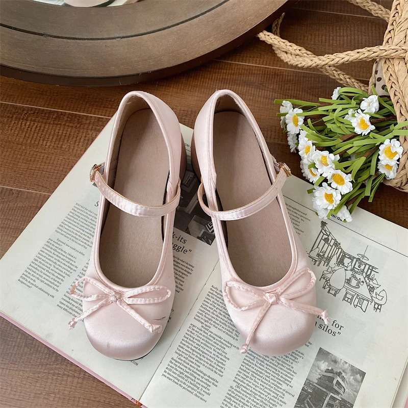 Spring Autumn Mary Jane Shoes Fashion Shallow Round Toe Mid Heel Shoes Ladies Elegant Outdoor Single Pumps Shoes for Women 241127