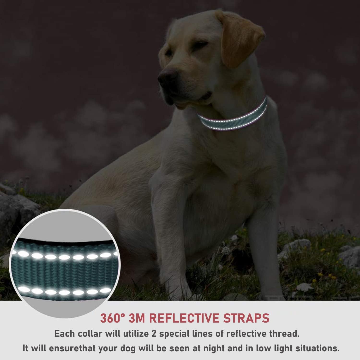 Reflective Dog Collar with Buckle Adjustable Safety Nylon Collars for Small Medium Large Dogs, S