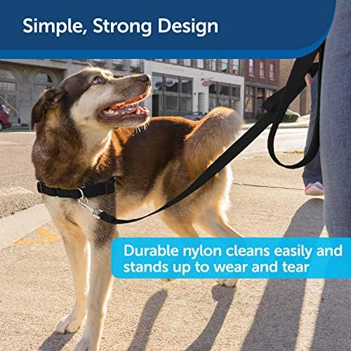 PetSafe Nylon Dog Strong, Durable, Traditional Style Leash with Easy to Use Bolt Snap for Small, Medium and Large Dogs u2013 3/4 x 4', Black