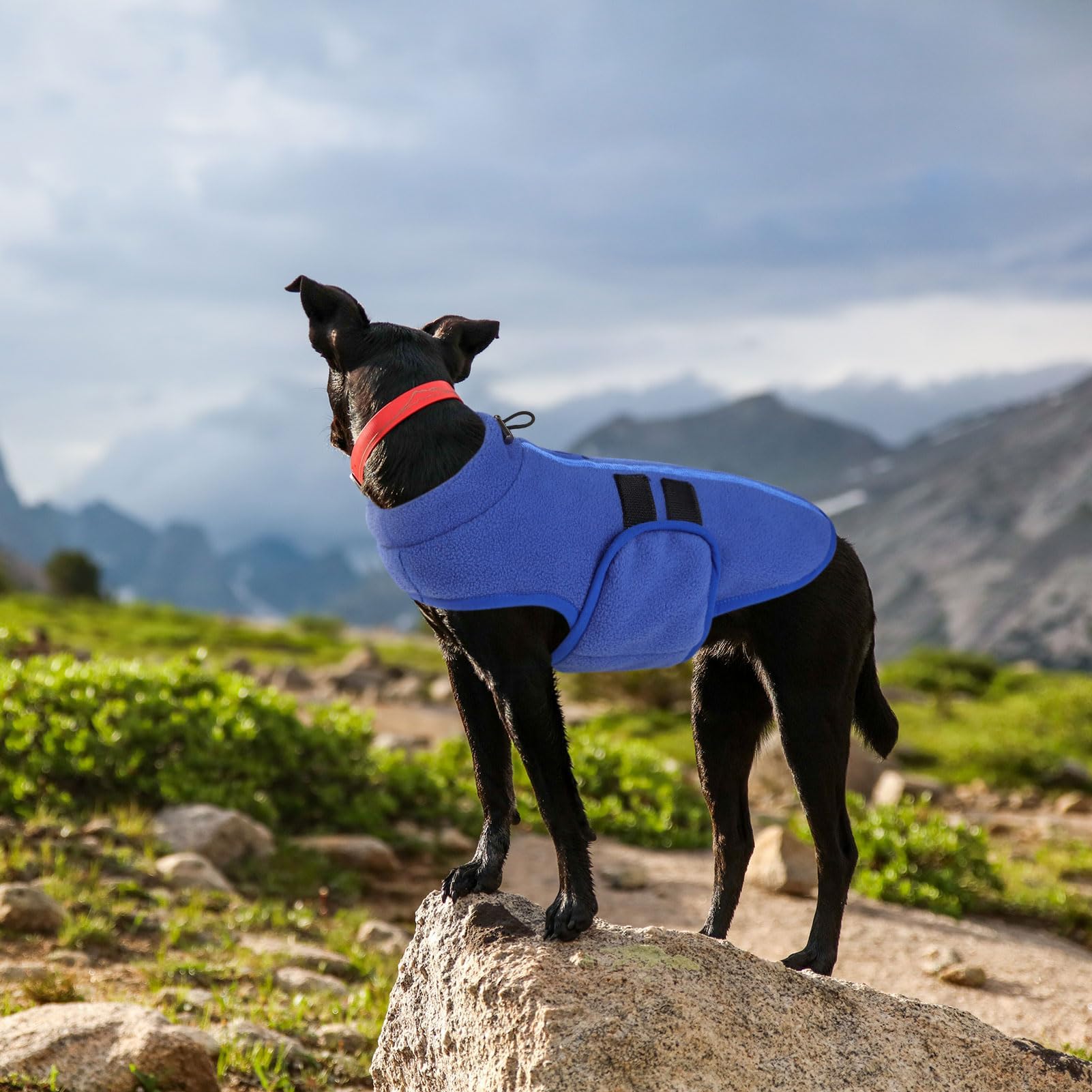 Queenmore Sweater, Soft Fleece Vest Pullover et with Leash Hole, Warm Winter Dog Coats Cold Weather Doggy Dachshund Sweaters for Dogs Cats Boy or Girl
