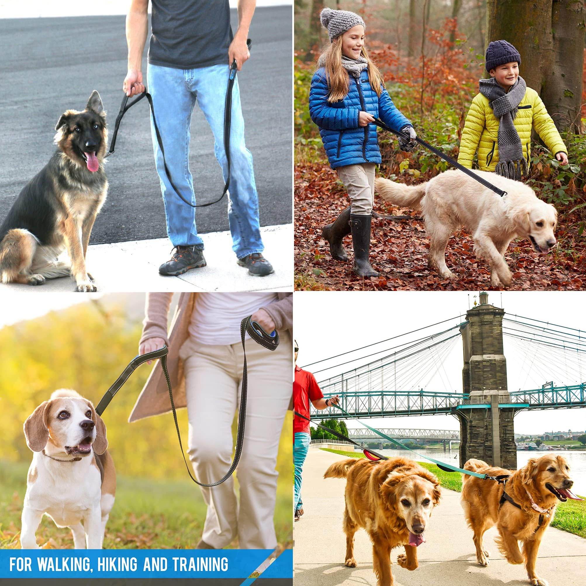 Dog Leash Heavy Duty 2 Handles by Padded Traffic Handle Extra Control,foot Long - Perfect for Medium to Large Dogs ( ft, Black Blue