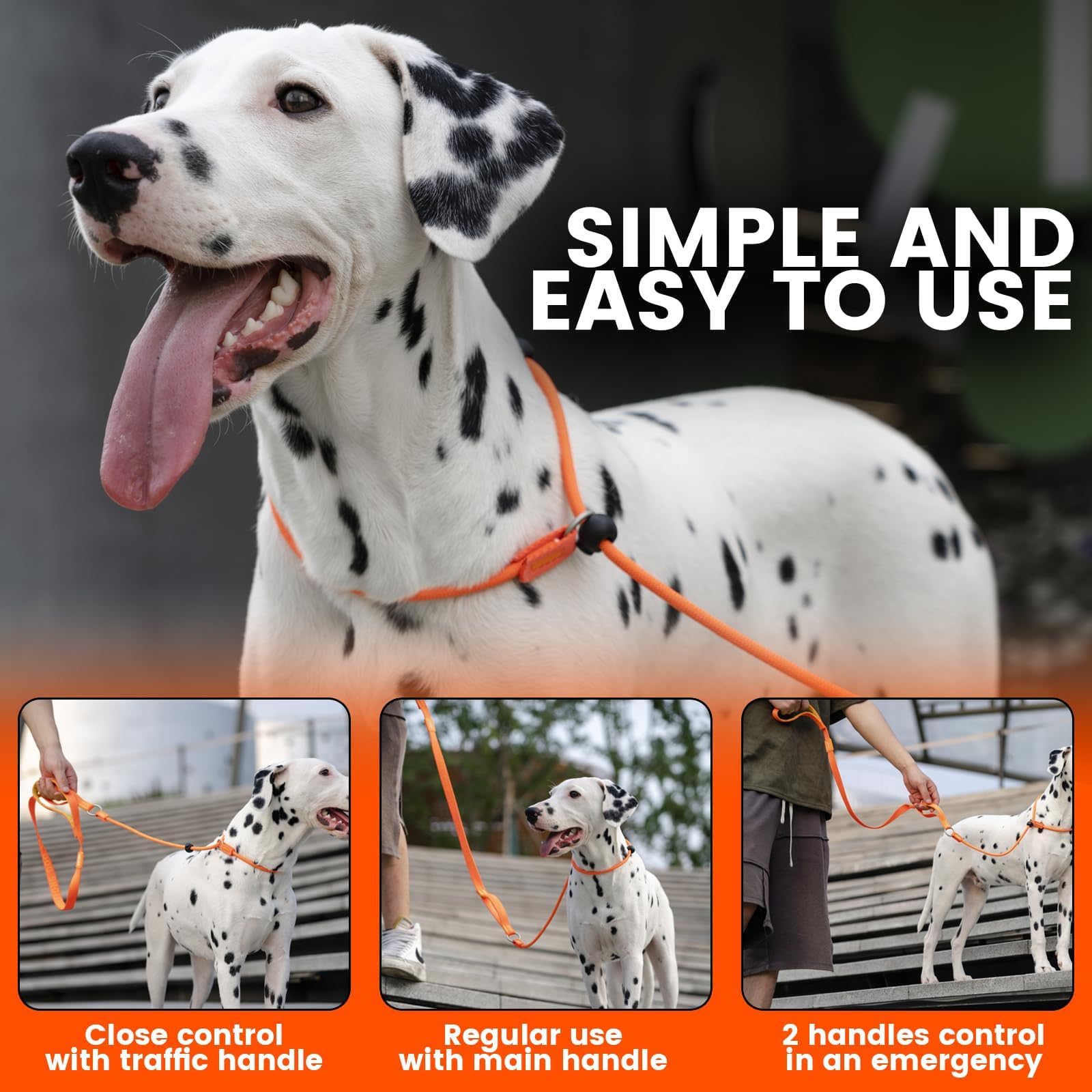HOWGO Lead Dog Leash,Training Leash,Cinch Leash, No-Pull Slip Leash and Collar,Heavy Duty&Durable,Padded Handle,for All Breeds