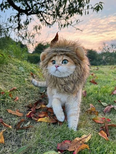 Mane Wig Dog and Costume Pet Adjustable Washable Comfortable Fancy Lion Hair Cat Clothes Dress for Halloween Christmas Easter Festival Party