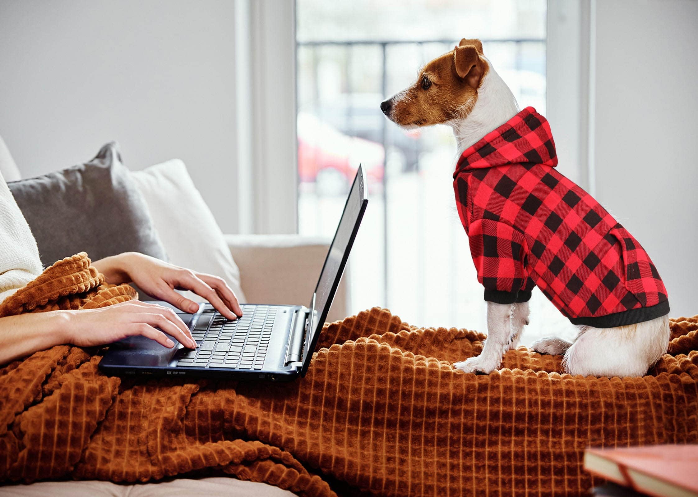 Hoodie Sweater Red Plaid Clothes Warm and Soft Breathable Cozy Hoodies Dog Sweaters for Extra Large Dogs with Pocket(XL