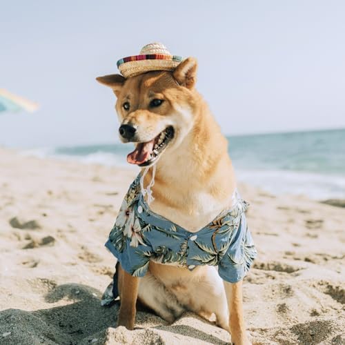 AWOCAN Straw Hat Funny Mexican Sombrero Cap Party Decorations Cinco De Mayo Pet Hats for Small Pets/Puppy/Cat