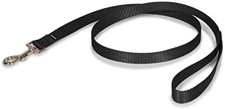 PetSafe Nylon Dog Strong, Durable, Traditional Style Leash with Easy to Use Bolt Snap for Small, Medium and Large Dogs u2013 3/4 x 4', Black