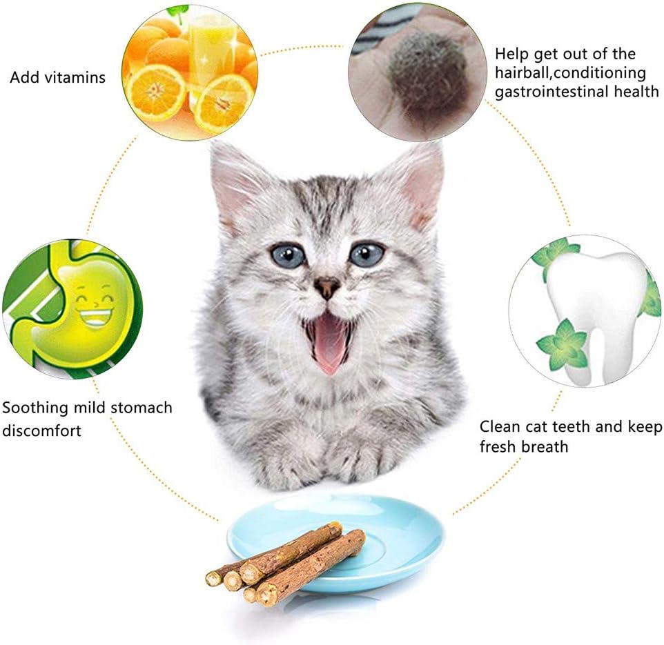 WoLover Matatabi Siervine Sticks - Cleaning Teeth Molar Tools Kitten Chew Natural Caip Cat Toy