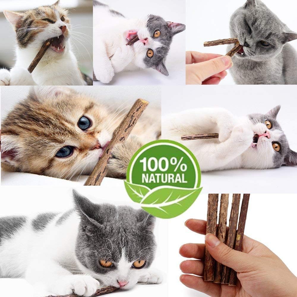 WoLover Matatabi Siervine Sticks - Cleaning Teeth Molar Tools Kitten Chew Natural Caip Cat Toy