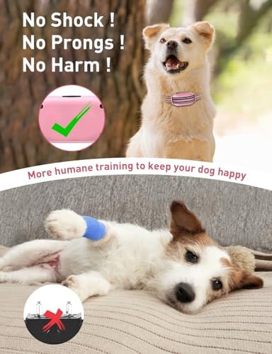 DOGLinsen Training Collar, Beep and Vibrating Shock, Shock Dog with Remote 2800Ft, Vibration Collar for Small Puppy Medium Large Dogs - No Prongs