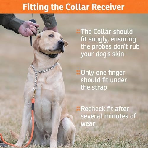 SportDOG FieldTrainer 425X/SportHunter 825 Add-A-Dog Remote Training Collar, Hunting Dog Collar - Waterproof Rechargeable with Tone, Vibration, and Sh