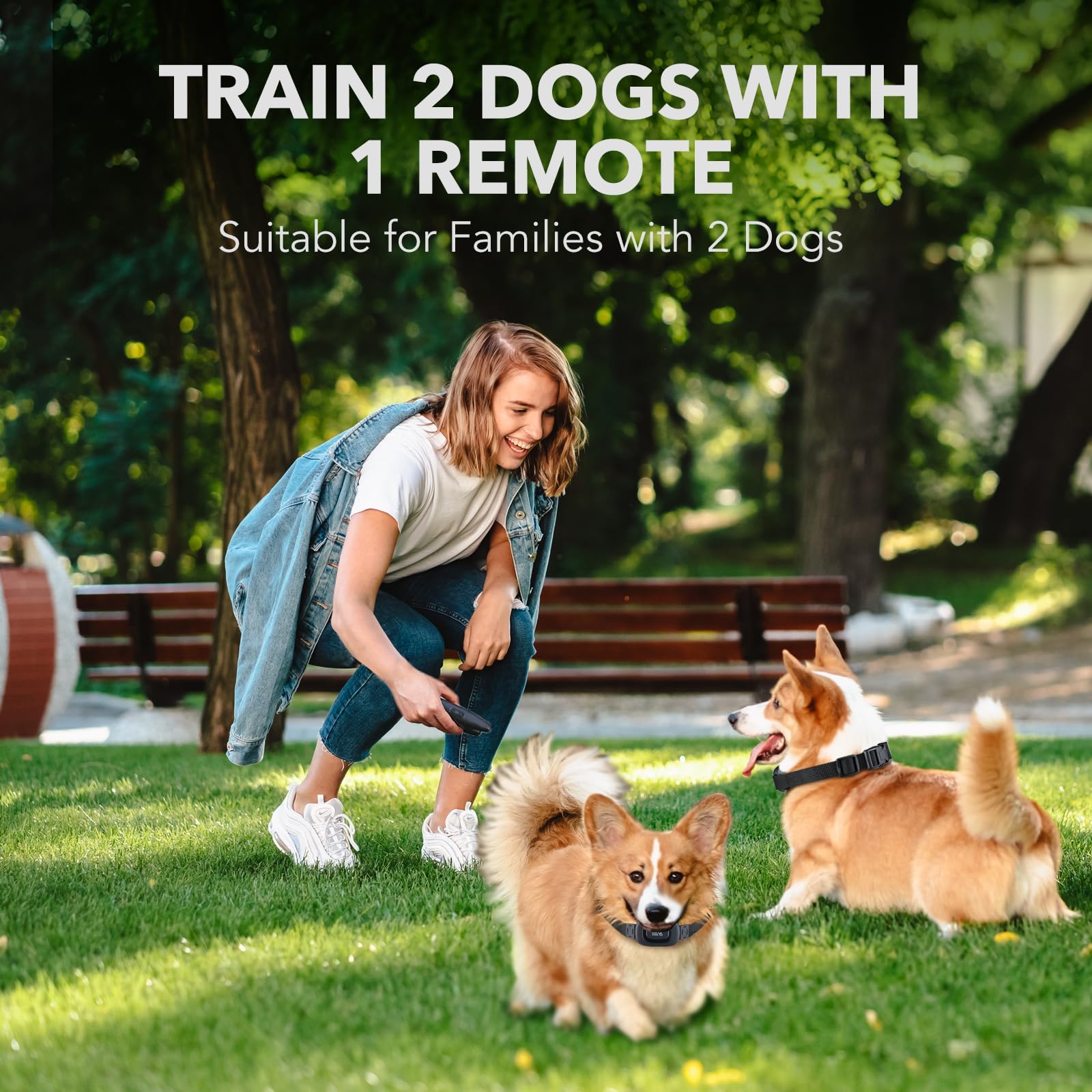 - Rechargeable Collar w/3 Modes, Beep, Vibration and Shock, Rainproof Collar, Up to 1000Ft Remote Range, Adjustable Shock Levels Dog Training Set