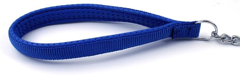 SGODA Metal Chain Heavy Duty Leash, Chew Proof Dog Leash with Soft Handle for Large & Medium Size Pets Walking