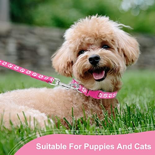 BOUSOE 2 Packs Dog Leash Set, and Lead Set Quick Release Buckle Adjustable Paw Print Soft Nylon Pet Collar for Puppy Small Dogs