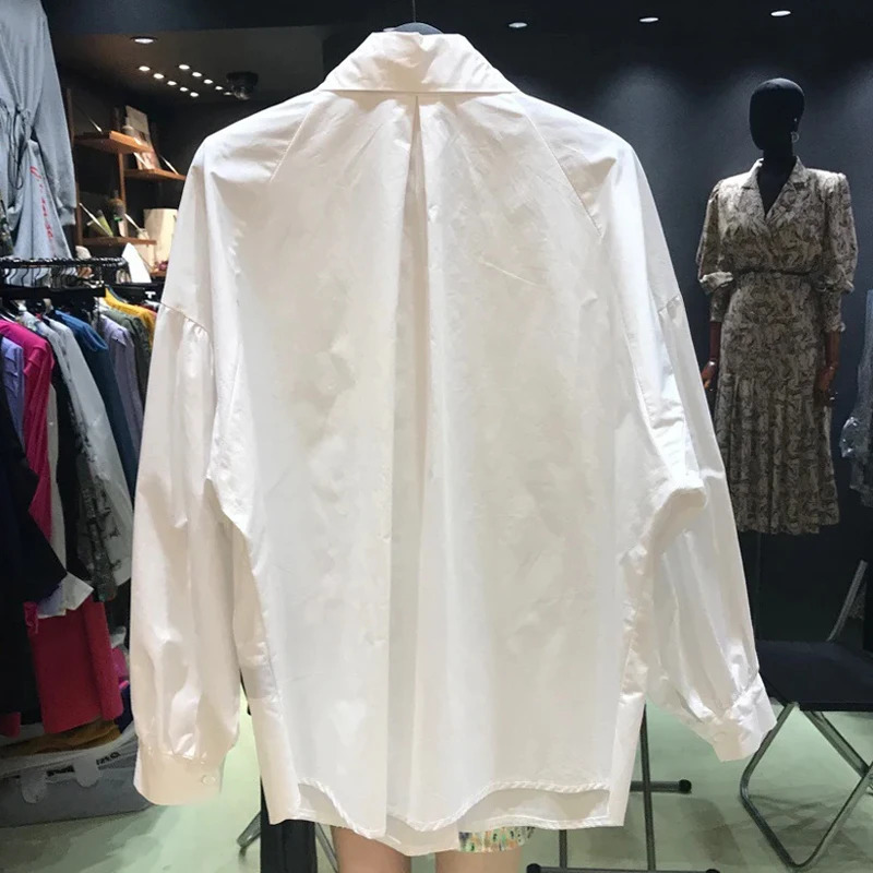 Spring Fashion Long sleeved Shirt Pointed Collar Office Womens Shirt Flip Collar Loose Clothing 15630 241128