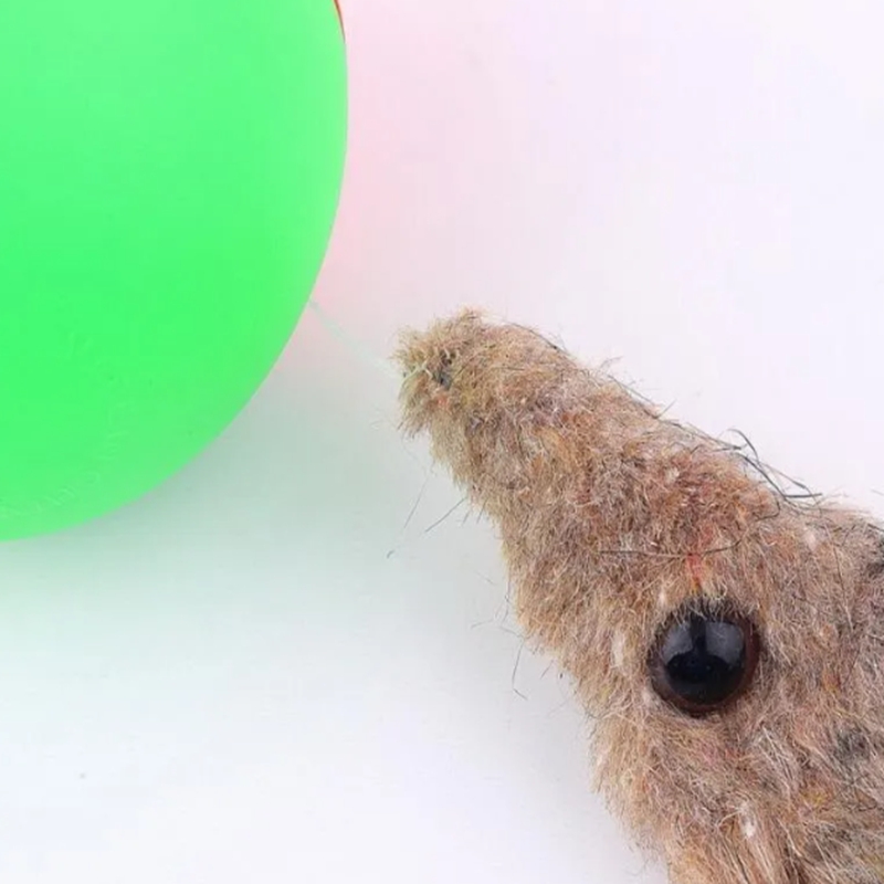 Dog Interactive Toys Dogs and cats love weasels electric beaver balls fun rolling ball toys pets childrens jumping mobile TH75a H250210