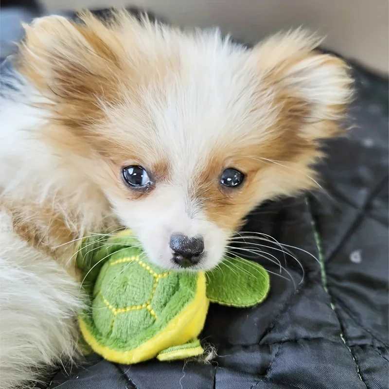 1Pcs Durable Turtle Design Pet Grinding Teeth Plush Toy Cartoon Mini Turtle Plush Interactive Dog ToyXJ241128