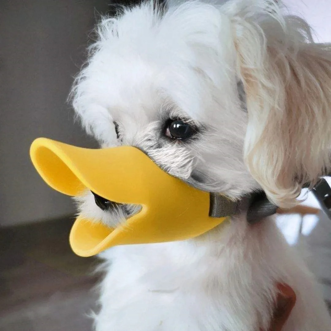 Silicone Duck Muzzle For Anti Bite Stop Barking Small Large Dog Mask Pet Accessories Safe Adjustable Mouthpiece Cover