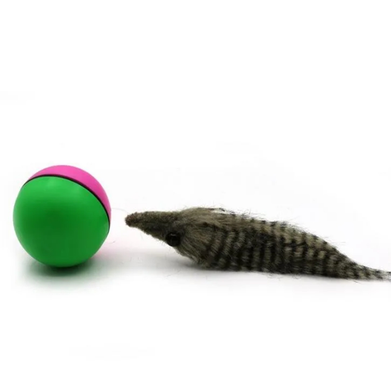 Dog Interactive Toys Dogs and cats love weasels electric beaver balls fun rolling ball toys pets childrens jumping mobile TH75a H250210