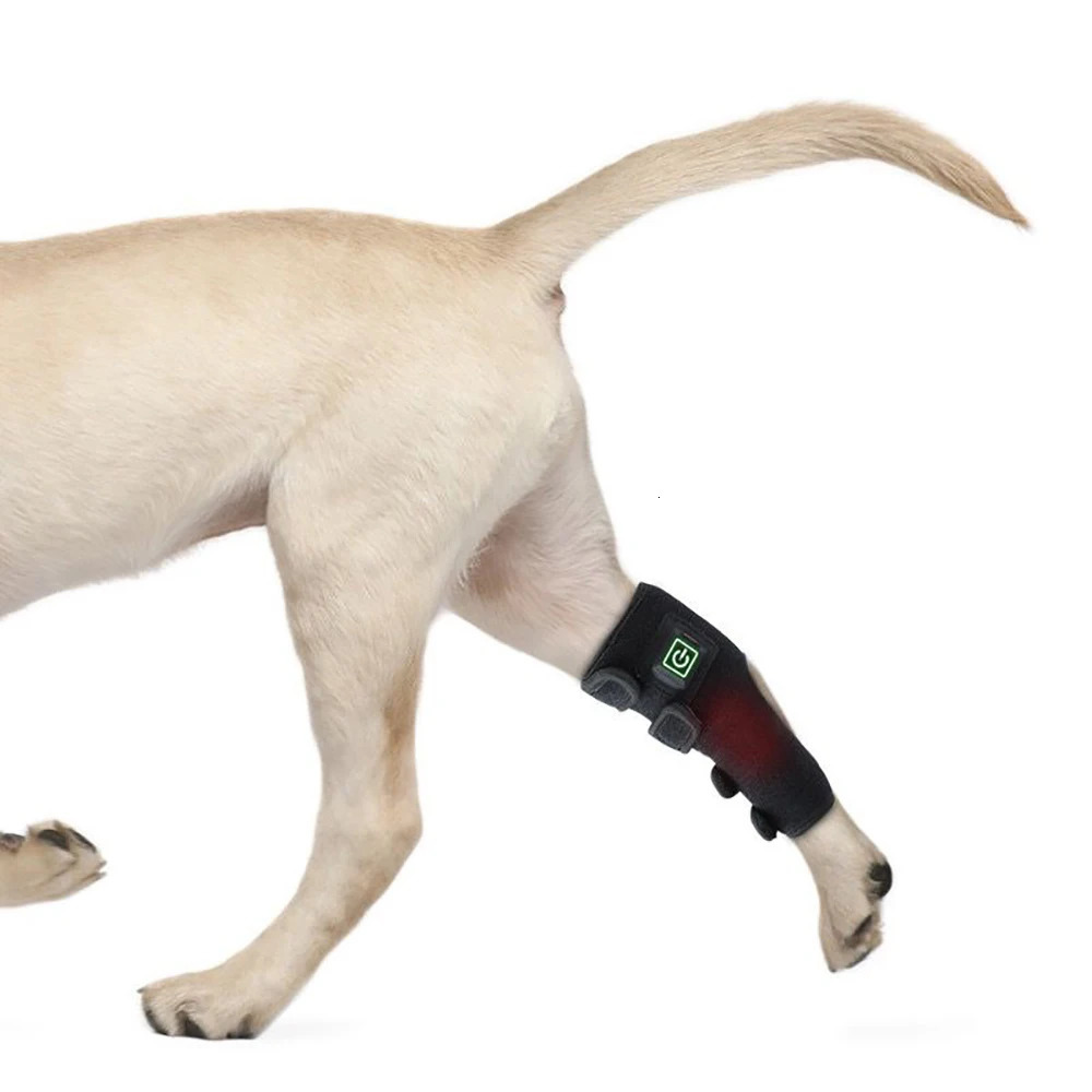 Dog Infrared Red Light Therapy Leg Boot Brace Wrap BUILT IN BATTERY Grade LEDs 241126