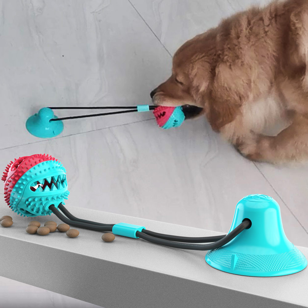 Pet Molar's popular pet supplies include grinding teeth, leakage feeders, bite resistant balls, suction cups, dog toys, wholesale, free shipping