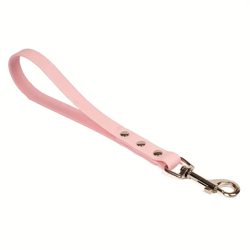 Compact 1.5 cm Thick Dog Tether - Ideal for Training and Walking Miniature Breeds