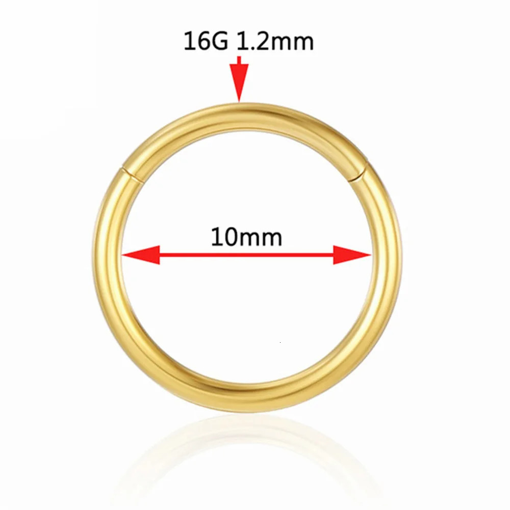 Stainless Steel Nose Ring Piercing Body Jewelry Hoop Earrings For Women Lip Zircon Septum Clicke Hinged Segment 241125