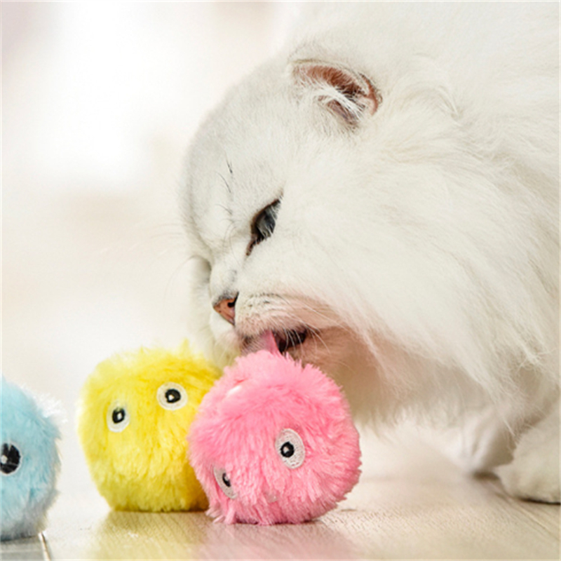 Cat toys touch making sounds attracting gravity calling balls teasing cat balls cats themselves relieving boredom toys such as catnip