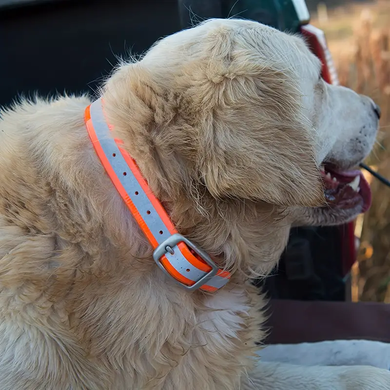 High-Visibility TPU Collar Belt for Hunting Dogs