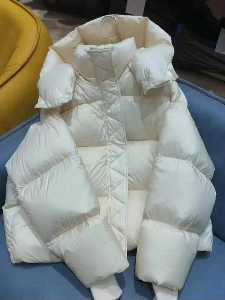New Waterproof Down Cotton Padded Hooded Short Women's Winter Clothes Korean Style Puffer Jacket Coat Outwear Female