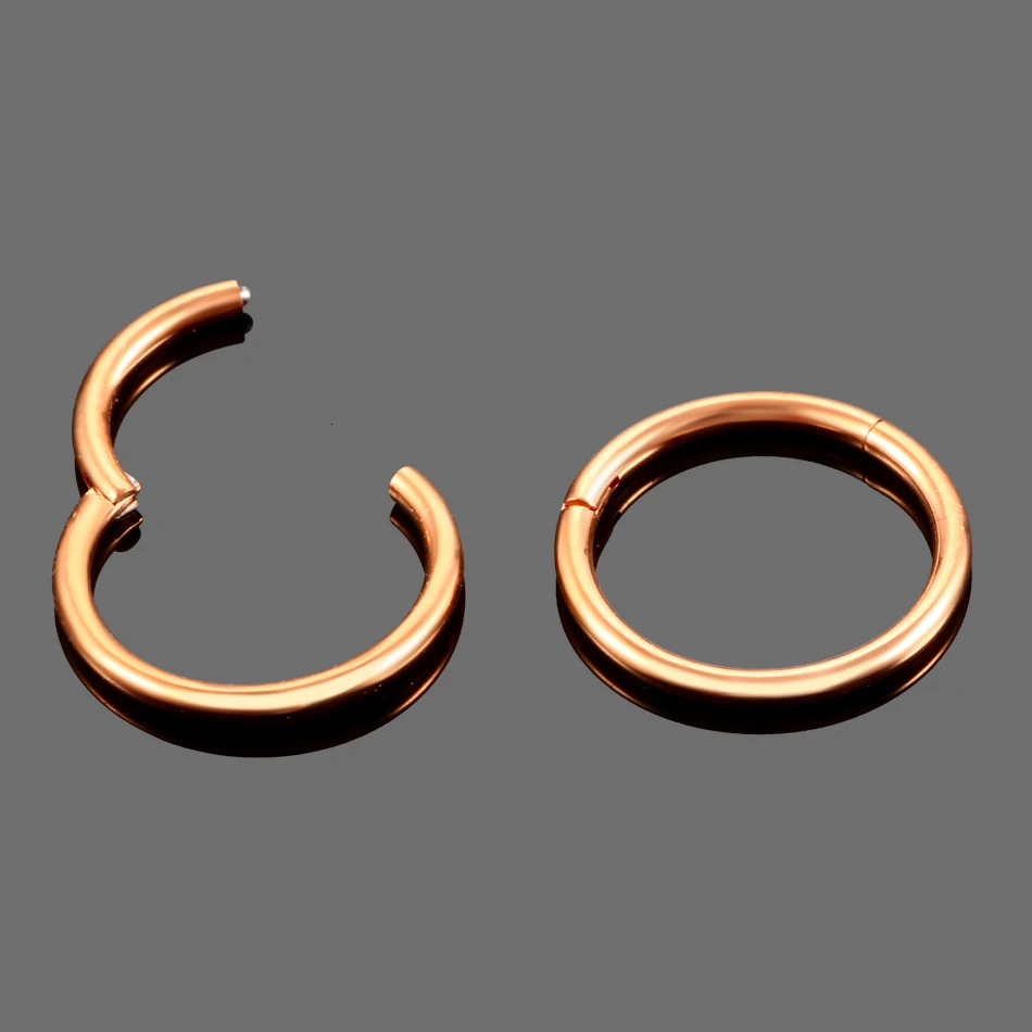 681012mm Stainless Steel Nose Rings Hoop for Women Men 18G 16G Cartilage Piercing Body Jewelry Segment Lip Ring 241125