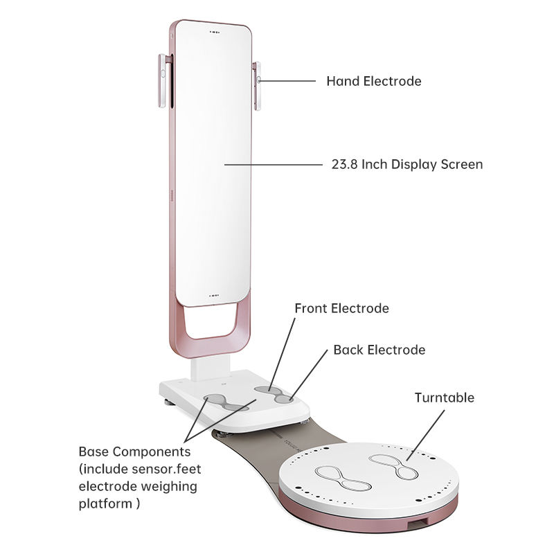 U+300 3d Fat Analyzer Scan Mass Smart Scanner Exercise Human Bio-impedance Quantum Fitness Bia Segmental Composition Analysis